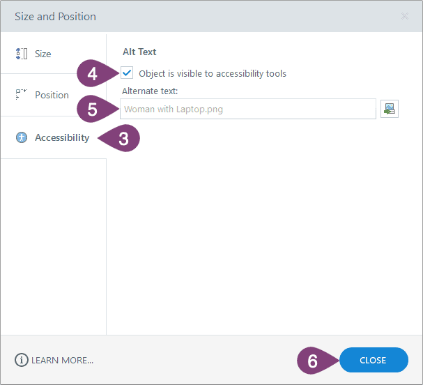 Storyline image accessibility options.