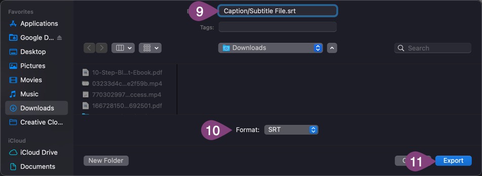 Saving a caption/subtitles file and file format in Camtasia.