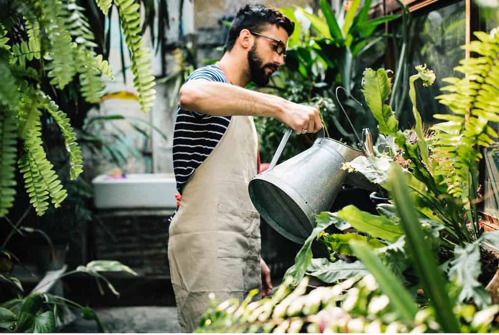 A man with a beard watering a plant in a lush garden full of various tropical plants