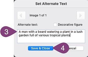Adobe Acrobat set alternate text tool.