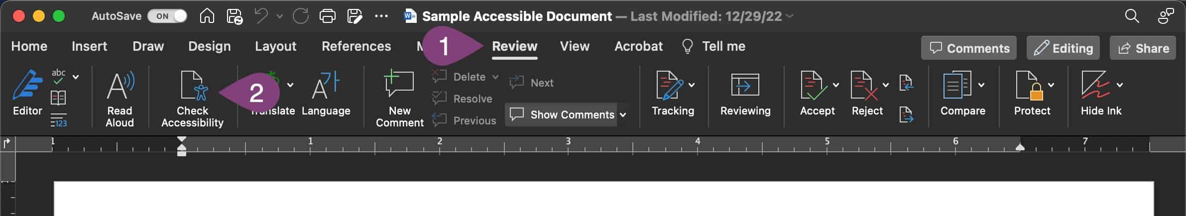 The Microsoft Word Review Ribbon Check Accessibility button.